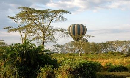 Hot-air balloon over the Serengeti